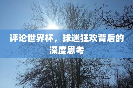 评论世界杯，球迷狂欢背后的深度思考