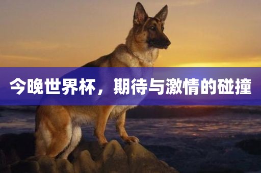 今晚世界杯，期待与激情的碰撞眉山市正发家政服务有限公司