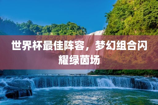 世界杯最佳阵容，梦幻组合闪耀绿茵场