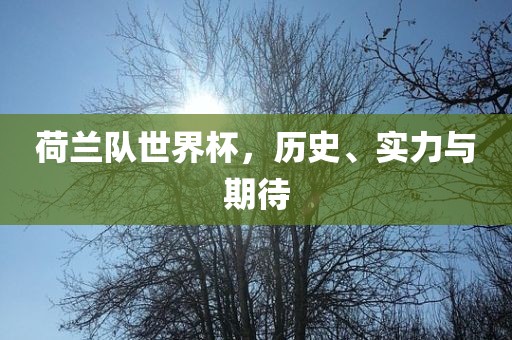 荷兰队世界杯，历史、实力与期待
