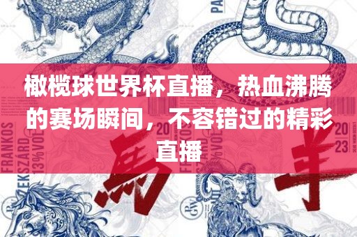 橄榄球世界杯直播，热血沸腾的赛场瞬间，不容错过的精彩直播