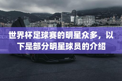 世界杯足球赛的明星众多，以下是部分明星球员的介绍