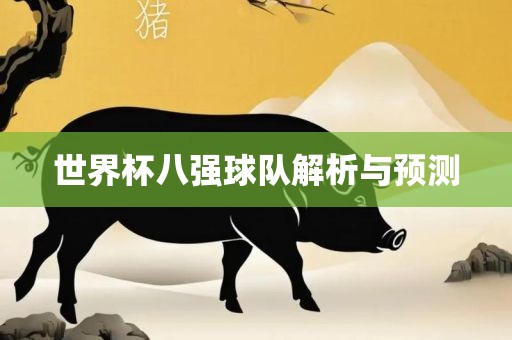 世界杯八强球队解析与预测
