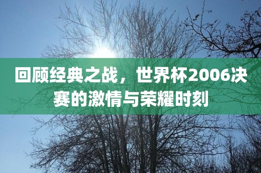 回顾经典之战，世界杯2006决赛的激情与荣耀时刻