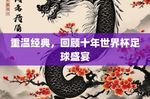 重温经典，回顾十年世界杯足球盛宴