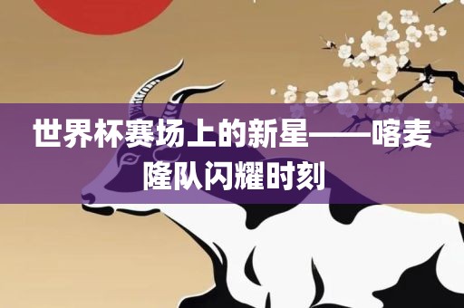 世界杯赛场上的新星——喀麦隆队闪耀时刻