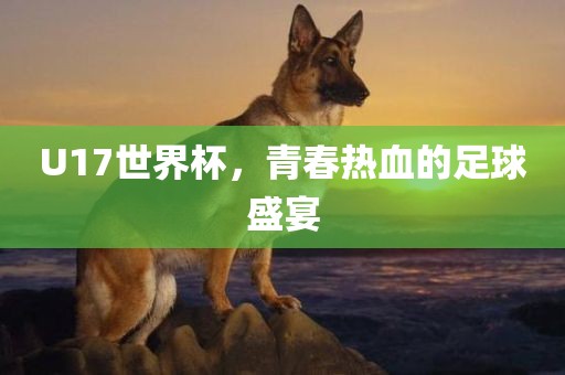U17世界杯，青春热血的足球盛宴