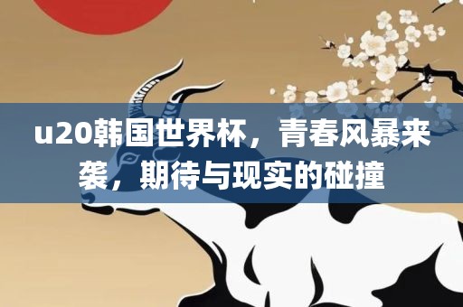 u20韩国世界杯，青春风暴来袭，期待与现实的碰撞