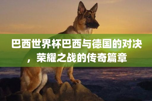 巴西世界杯巴西与德国的对决，荣耀之战的传奇篇章