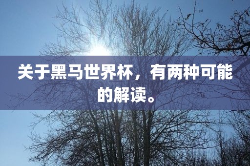 关于黑马世界杯，有两种可能的解读。