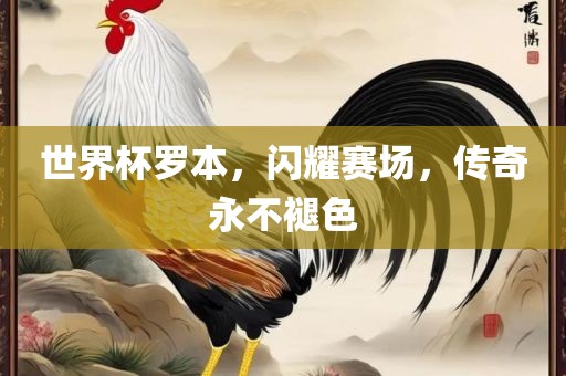 世界杯罗本，闪耀赛场，传奇永不褪色