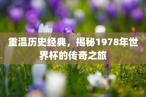 重温历史经典，揭秘1978年世界杯的传奇之旅