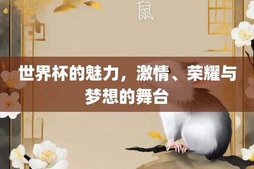 世界杯的魅力，激情、荣耀与梦想的舞台