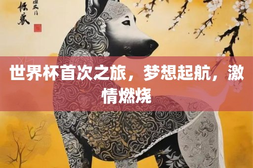 世界杯首次之旅，梦想起航，激情燃烧
