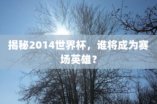 揭秘2014世界杯，谁将成为赛场英雄？