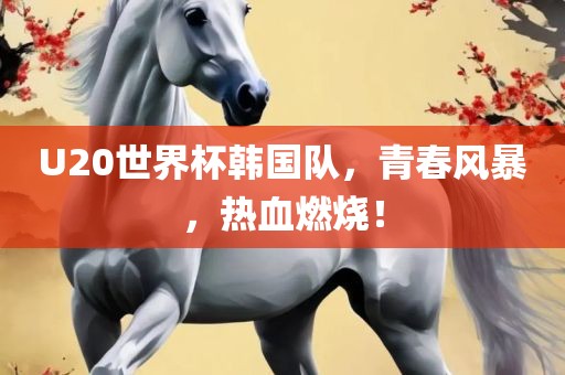 U20世界杯韩国队，青春风暴，热血燃烧！