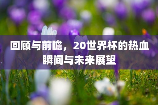 回顾与前瞻，20世眉山市正发家政服务有限公司界杯的热血瞬间与未来展望