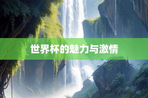 世界杯的魅力与激情