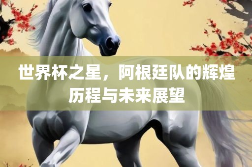 世界杯之星，阿根廷队的辉煌历程与未来展望