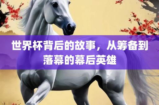 世界杯背后的故事，从筹备到落幕的幕后英雄眉山市正发家政服务有限公司