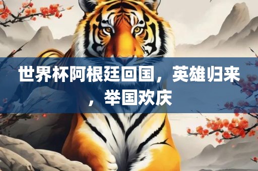 世界杯阿根廷回国，英雄归来，举国欢庆