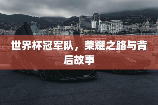 世界杯冠军队，荣耀之路与背后故事