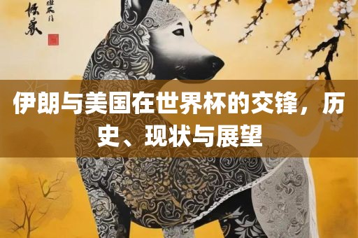 伊朗与美国在世界杯的交锋，历史、现状与展望眉山市正发家政服务有限公司