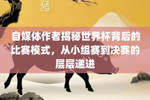 自媒体作者揭秘世界杯背后的比赛模式，从小组赛到决赛的层层递进