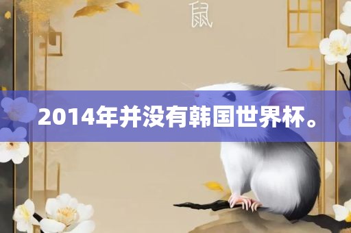2014年并没有韩国世界杯。
