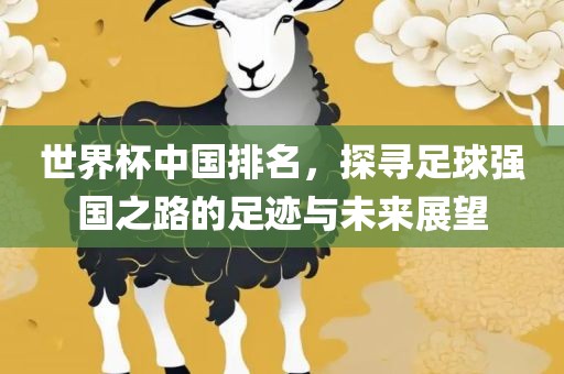 世界杯中国排名，探寻足球强国之路的足迹与未来展望