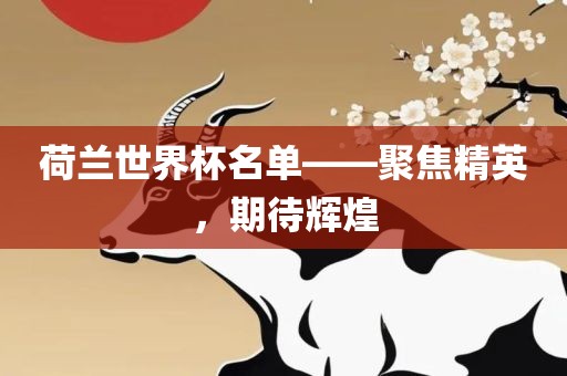 荷兰世界杯名单——聚焦精英，期待辉煌