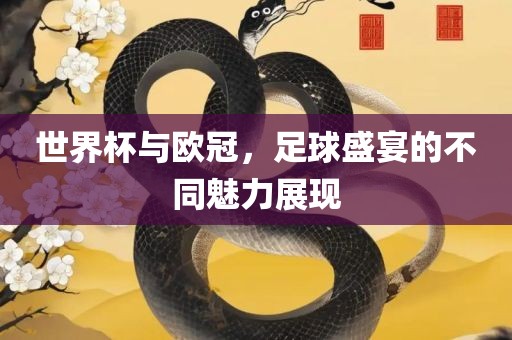 世界杯与欧冠，足球盛宴的不同魅力展现