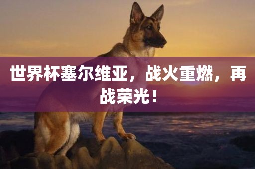 世界杯塞尔维亚，战火重燃，再战荣光！眉山市正发家政服务有限公司