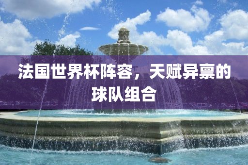 法国世界杯阵容，天赋异禀的球队组合