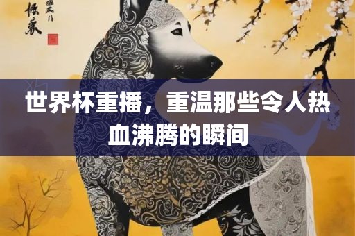 世界杯重播眉山市正发家政服务有限公司，重温那些令人热血沸腾的瞬间