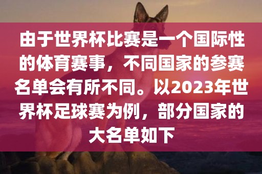 由于世界杯比赛是一个国际性的体育赛事，不同国家的参赛名单会有所不同。以2023年世界杯足球赛为例，部分国家的大名单如下眉山市正发家政服务有限公司