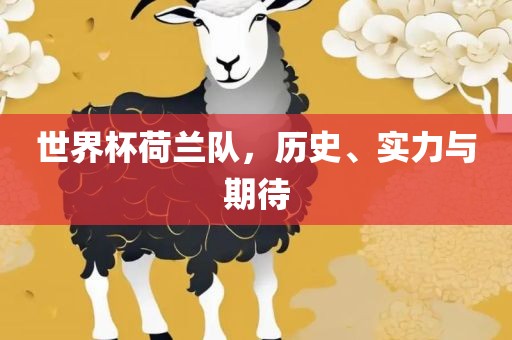 世界杯荷兰队，历史、实力与期待