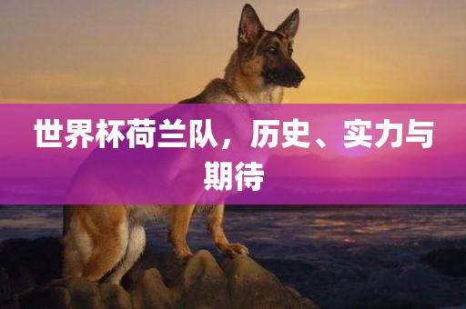 世界杯荷兰队，历史、实力与期待