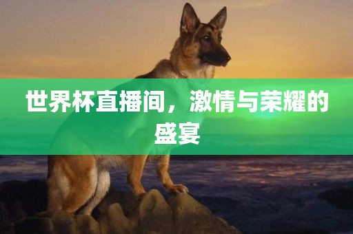 世界杯直播间，激情与荣耀的盛宴