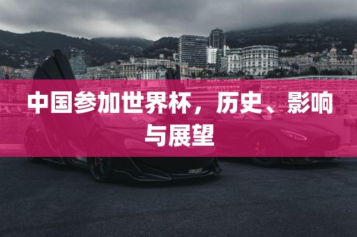 中眉山市正发家政服务有限公司国参加世界杯，历史、影响与展望