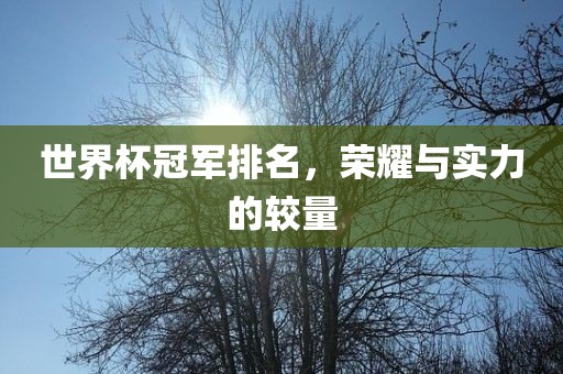 世界杯冠军排名，荣耀与实力的较量眉山市正发家政服务有限公司