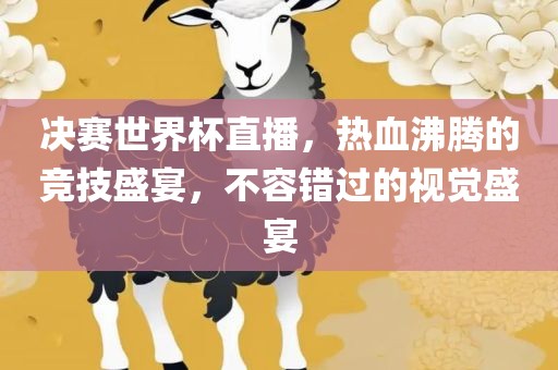 决赛世界杯直播，热血沸腾的竞技盛宴，不容错过的视觉盛宴