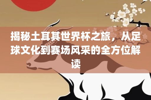 揭秘土眉山市正发家政服务有限公司耳其世界杯之旅，从足球文化到赛场风采的全方位解读