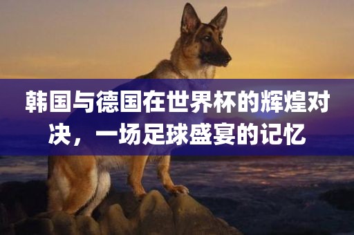 韩国与德国在世界杯的辉煌对决，一场足球盛宴的记忆眉山市正发家政服务有限公司