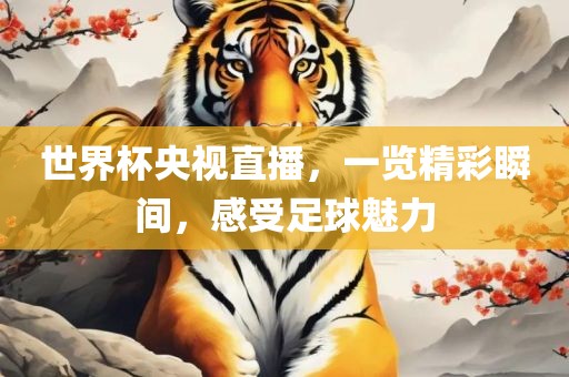 世界杯央视直播，一览精彩瞬间，感受足球魅力眉山市正发家政服务有限公司