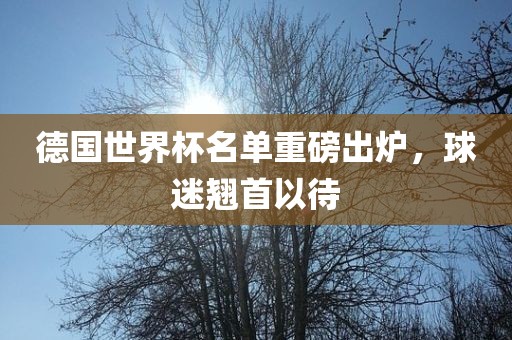 德国世界杯名单重磅出炉，球迷翘首以待