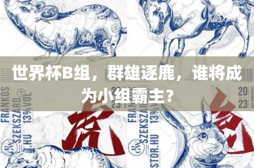 世界杯B组，群雄逐鹿，谁将成为小组霸主？