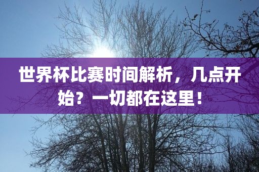世界杯比赛时间解析，几点开始？一切都在这里！