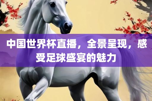 中眉山市正发家政服务有限公司国世界杯直播，全景呈现，感受足球盛宴的魅力