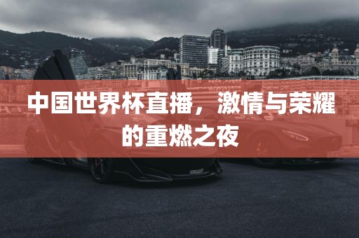 中国世界杯直播，激情与荣耀的重燃之夜眉山市正发家政服务有限公司